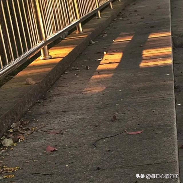 最透彻的人生感悟，人生精辟的感悟（透彻到噎死人的好句子）