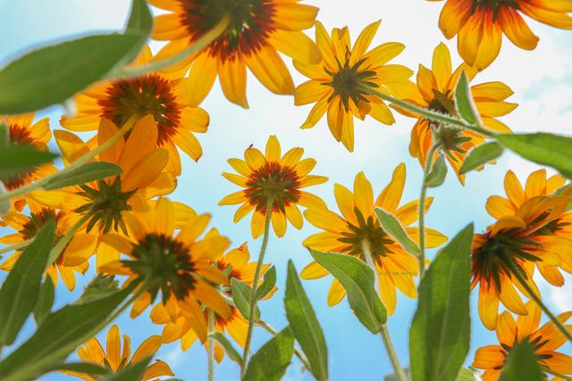 电脑桌面壁纸搞笑，电脑桌面壁纸上班族搞笑