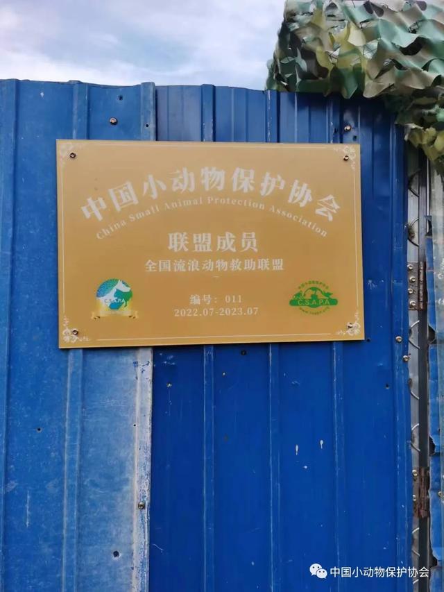 流浪动物救助站，流浪动物救助站统计（爱心人士反映四川江油流浪动物救助站动物生存环境恶劣）