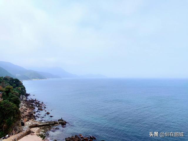 杨梅坑鹿嘴山庄，杨梅坑深圳旅游（鹿嘴山庄寻鹿攻略）