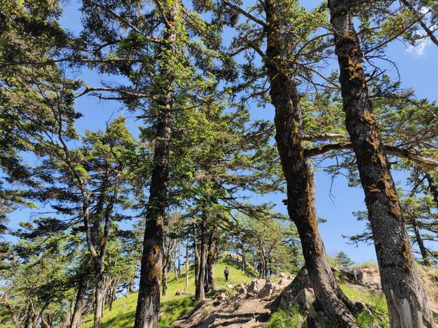 尖山风景区攻略，假期一家人出游蔚县飞狐峪里的尖山