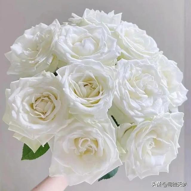 聊天态度看出他喜欢你，怎么从聊天中看出一个男的喜欢你