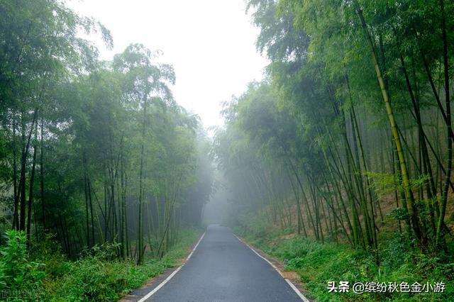 闲林古镇旅游攻略，这座城名气不如邻城苏杭