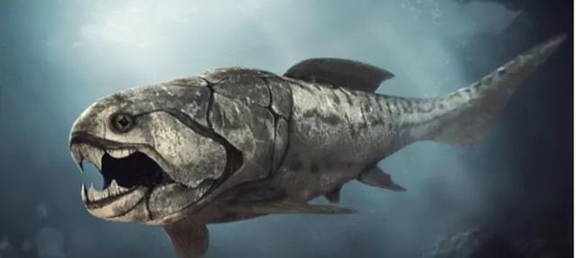 人类的进化史到底是什么样的，人类进化史上有13万年的空白,过程中发生了什么