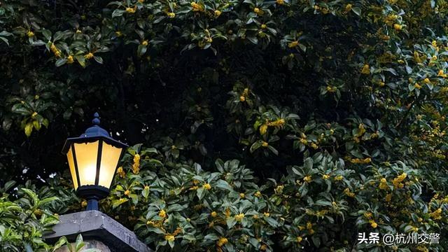 中秋节休闲游玩攻略，音乐派对、古风游园、月饼手作……就在余杭