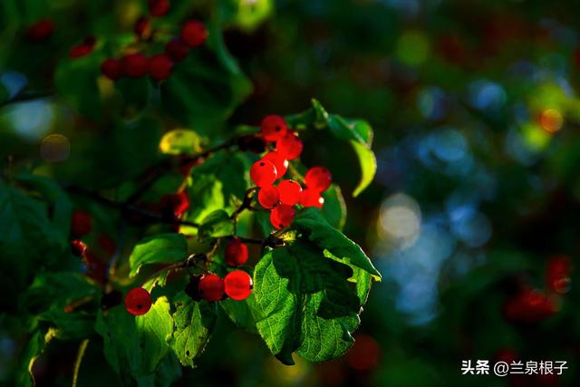 兰州黄土山旅游景点，兰州北山行随感12月23