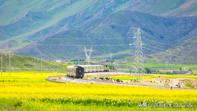 青藏铁路通车时间，青藏铁路是哪年全线通车的（青藏铁路正式进入“动车时代”）