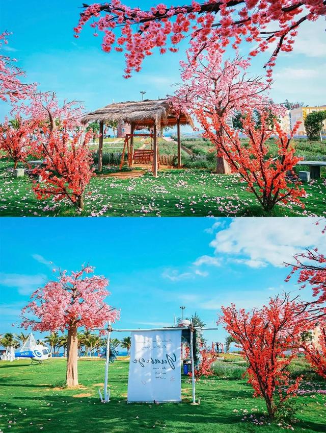 深圳玫瑰海岸夏日游，清明假期游客在深圳玫瑰海岸逐波踏浪