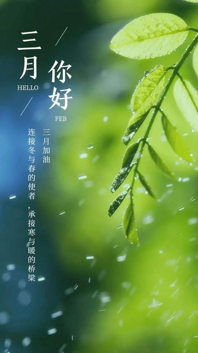 三月文案超级短句干净治愈，三月：花事未了