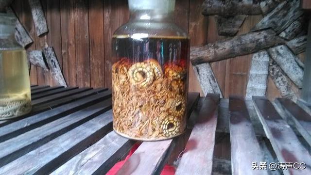 湘西苗族蛊术，神秘湘西苗族的蛊中之王