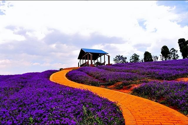 弥勒东风韵景区，10月份云南弥勒旅游攻略