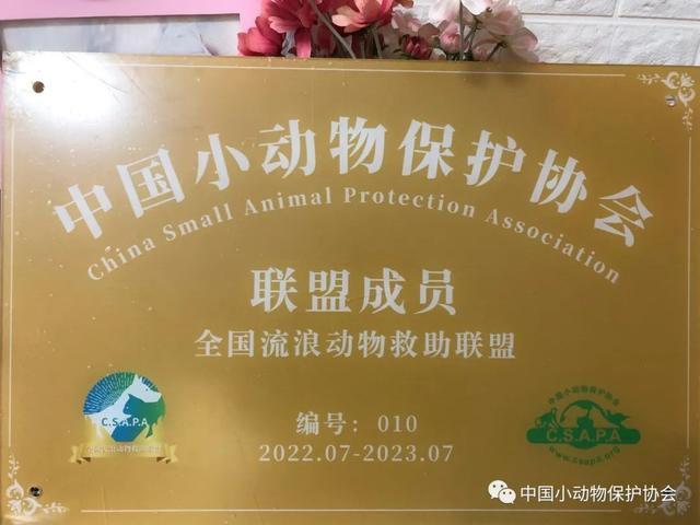 流浪动物救助站，流浪动物救助站统计（爱心人士反映四川江油流浪动物救助站动物生存环境恶劣）