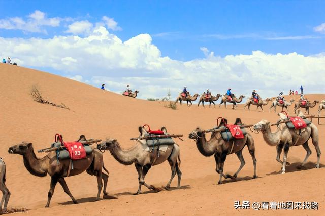 宁夏沙坡头的旅游攻略，快来get沙坡头这份暑期攻略~