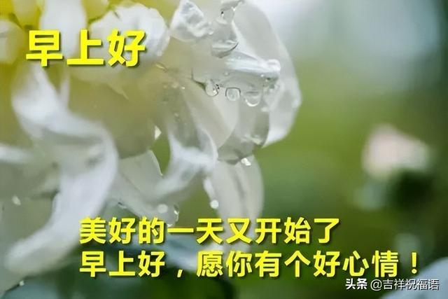 早上好的表情包，早上好表情图大全带字（最新的漂亮早上好问候表情图片）