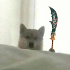 可爱小狗表情包，可爱表情包大全狗子