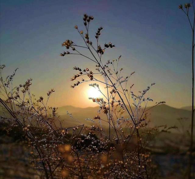 满庭芳词牌格律，近体诗格律标准（花开满庭——我们也填《满庭芳》）