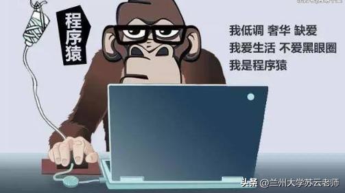 程序员节是国际节日吗，程序员的专属惊喜已送达