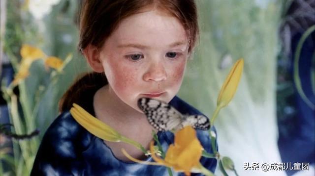 适合老人看的电影，5部冷门高分祖孙题材电影（有哪些老年人必看的电影）