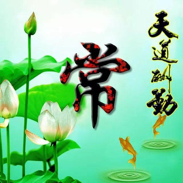 荷花头像图片大全，荷花头像高清图