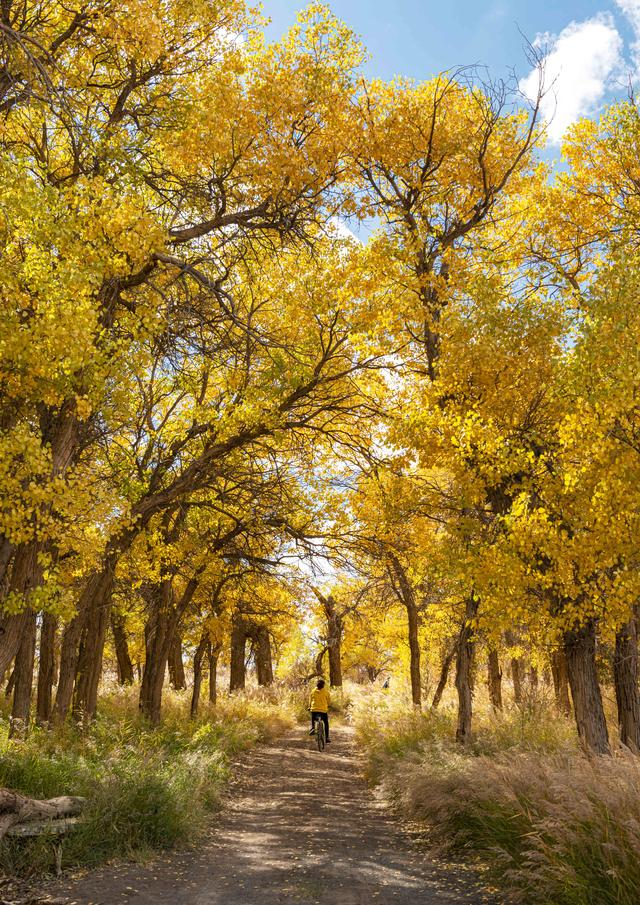 酒泉卫星基地地图，酒泉卫星发射中心地图