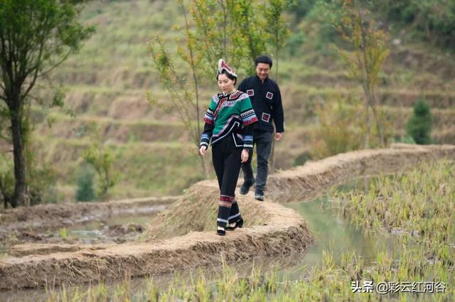 红河哈尼族彝族，红河州有几种少数民族（<红河哈尼族彝族自治州篇>）
