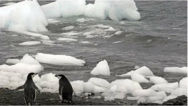 南大洋跻身世界五大洋，四大洋从大到小排名