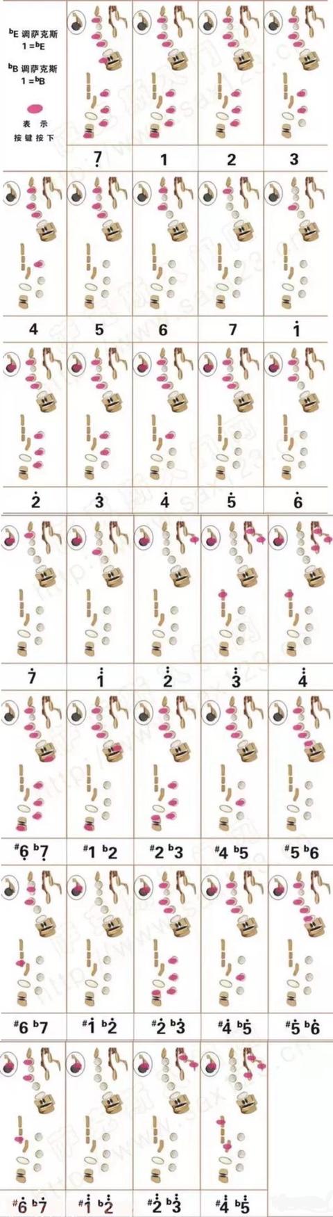 学吹萨克斯入门，初学萨克斯如何吹出1234567（初学吹萨克斯如何吹口型）