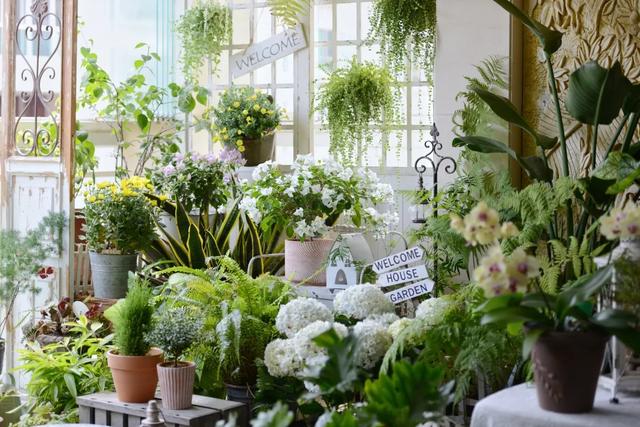 法式花园如何欣赏，海妈花园访问阳台花园满分案例