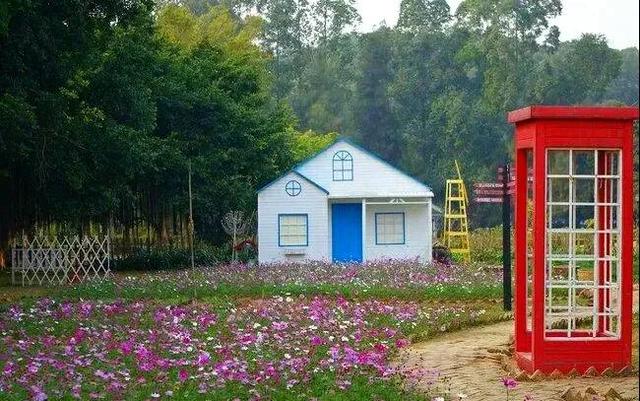 广州市内一日游必去十个景点，带你逛遍广州这9个免费特色景点