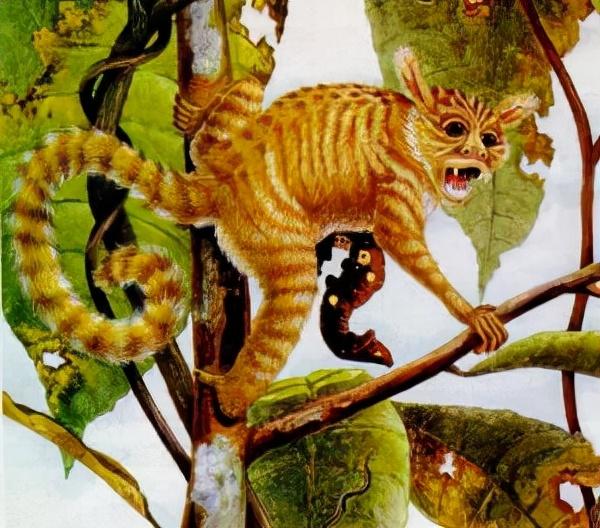 人类的进化史到底是什么样的，人类进化史上有13万年的空白,过程中发生了什么