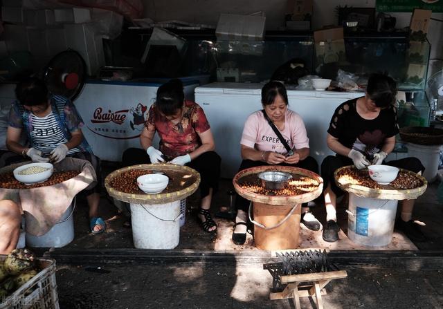 鸡头米怎么烧最有营养，北方人难得尝鲜的时令美食