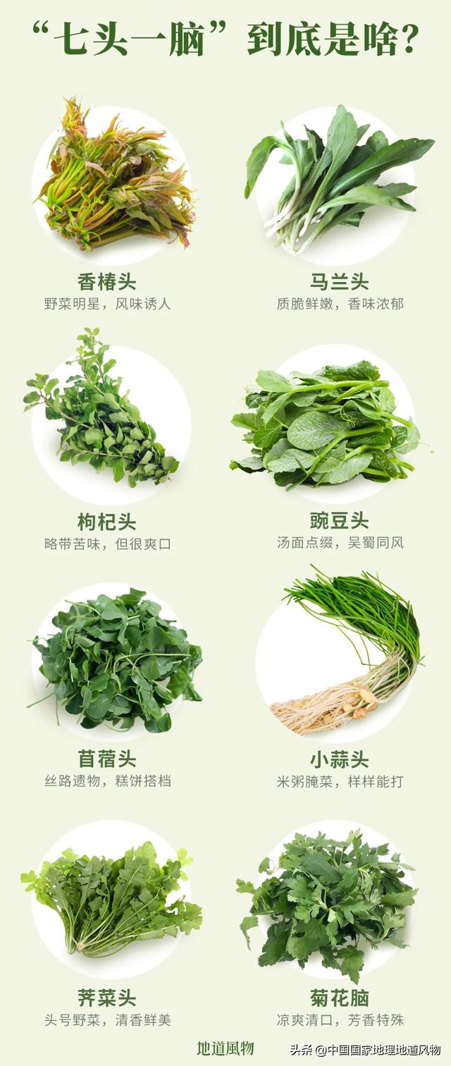 在地里挖的野苦菜怎么吃，野菜苦菜的三种家常吃法