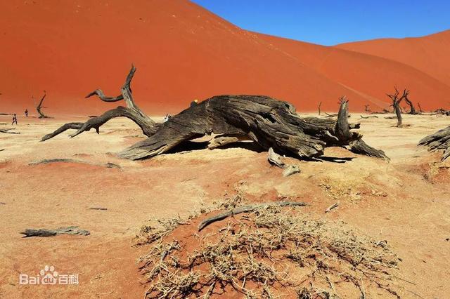蛇湖边上很危险，世界上最危险的地方排名