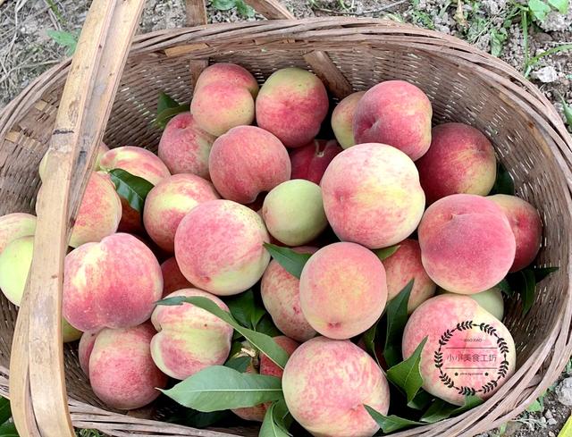 脆桃是没有成熟的桃子么，靖州：脆桃已成熟 等你来采摘