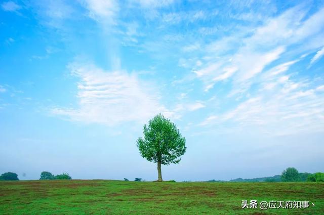 南京打卡景点小众，安利30处南京小众打卡地