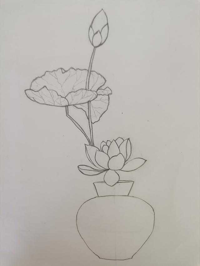 速写入门基础画花卉，7步通俗易懂的速写画画入门教程