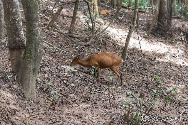 普洱到西双版纳，西双版纳普洱旅游攻略