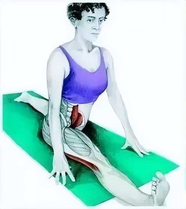 10分钟懒人拉伸训练动作，这6组33个拉伸动作绝了