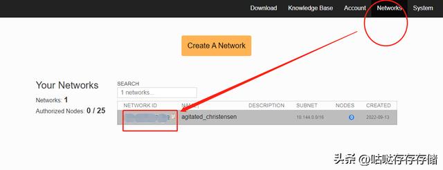 群晖怎么远程访问nas，使用ZeroTier远程访问群晖NAS