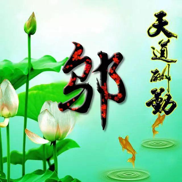 荷花头像图片大全，荷花头像高清图