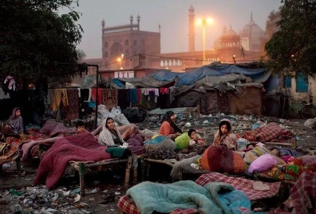 印度人都不吃猪肉吗，印度人真的不吃牛肉和猪肉吗