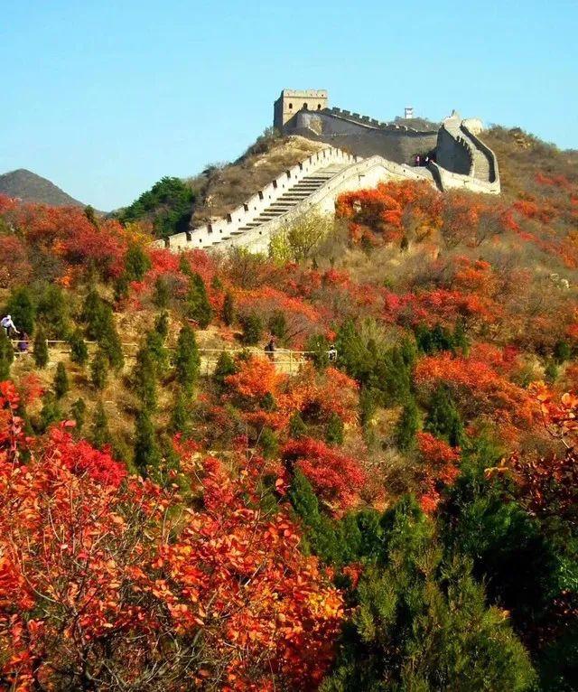 火车沿途风景最佳路线夏天，国内这些赏秋火车路线