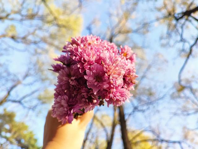东陵区郊野公园，沈阳东陵郊野公园的美景真好