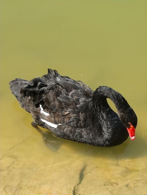 来自北宫国家森林公园的惊喜，仰天山国家森林公园游玩攻略图