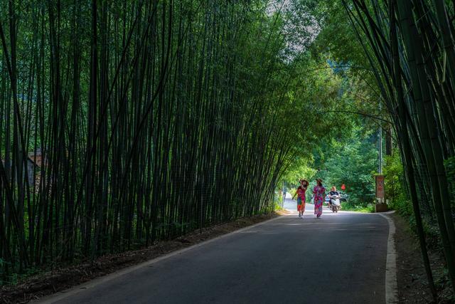 栾川游玩攻略大全，洛阳人周末去哪玩