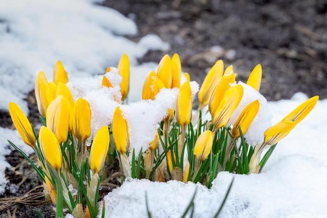 在异性之间是否有纯友谊，异性之间的纯友谊