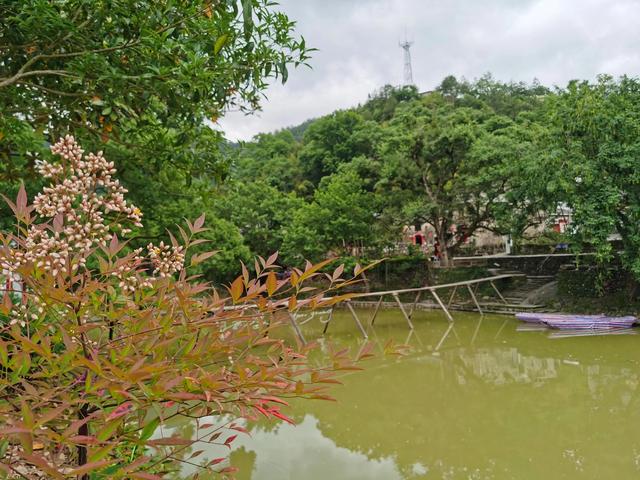景德镇一日游必去景点，景德镇旅游景点十大排行（江西旅游必去十大景点有哪些）