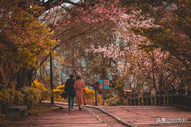 日本赏樱花著名景点，这些赏樱地等你打卡