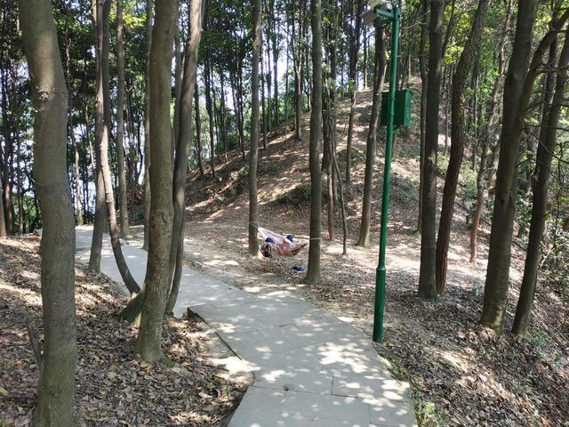 重庆短途摩旅推荐路线，重庆主城摩旅推荐之歌乐山森林公园