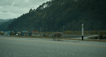 致死率达100烹煮都杀不死的朊病毒，朊病毒到底是什么病毒